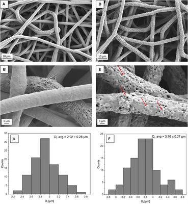 Enhanced Cells Anchoring to Electrospun Hybrid Scaffolds With PHBV and HA Particles for Bone Tissue Regeneration